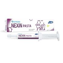 Suplemento Pet Nexin Pasta Nutrisana Seringa 40g