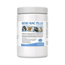 Suplemento PetAg Bene-Bac Plus 454g em pó para cães e gatos