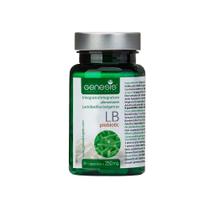 Suplemento probiótico de Lactobacillus 30 cápsulas com Lactobacillus Bulgaricus 250 mg, probiótico, digestivo, suporte imunológico, saúde intestinal, probióticos para a saúde digestiva, antiinchaço