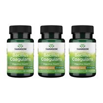 Suplemento probiótico Swanson Bacillus Coagulans 6B CFU, pacote com 3 unidades