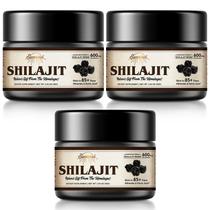 Suplemento Sennasi Shilajit Resina Orgânica Pura do Himalaia 30g