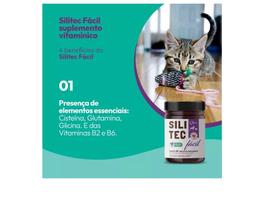 Suplemento Silitec Fácil 1,5g 30 Tabletes Mastigáveis Syntec