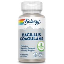 Suplemento Solaray Bacillus Coagulans Probiótico 60 cápsulas Suplemento Solaray Bacillus Coagulans Probiótico 60 cápsulas
