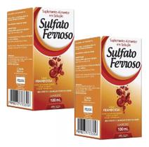 Suplemento Sulfato Ferroso 2x100ml - Arte Nativa