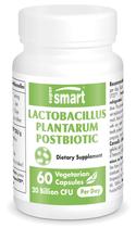 Suplemento Supersmart Lactobacillus Plantarum PostBiotic 20B CFU Suplemento Supersmart Lactobacillus Plantarum PostBiotic 20B CFU