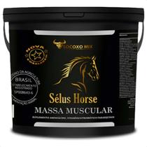 Suplemento Tonus Massa Muscular Vaquejada Potro Massa 2,5kg Suplemento Tonus Massa Muscular Vaquejada Potro Massa 2,5kg
