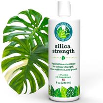 Suplemento vegetal Silica Strength 4,5% líquido 250mL para plantas domésticas