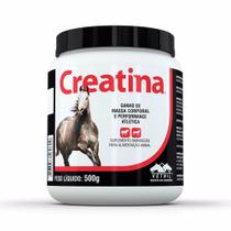 Suplemento Vetnil Creatina 500 g para Equinos e Cães Suplemento Vetnil Creatina 500 g para Equinos e Cães