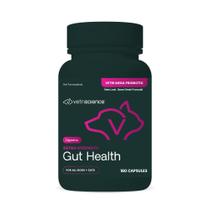 Suplemento VetriScience Gut Health Extra Strength - 180 Cápsulas