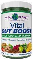 Suplemento Vital Planet Vital Gut Boost em pó 230g