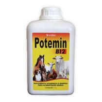 Suplemento Vitamínico E Mineral Potemin B12 - 1 Litro