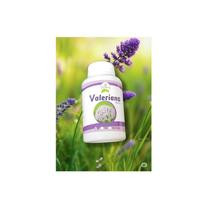Suplemento Vitamínico Valeriana 500mg Frasco 60 Cápsulas Uni Ervas