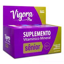 Suplemento Vitamínico Vigora Plus Sênior 50+ 60 Cápsulas Gelatinosas