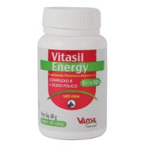 Suplemento Vitamínico Vitasil Energy 60g Vansil