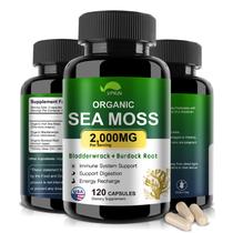 Suplemento VPKIN Organic Sea Moss 2000 mg com Bladderwrack 120c Suplemento VPKIN Organic Sea Moss 2000 mg com Bladderwrack 120c
