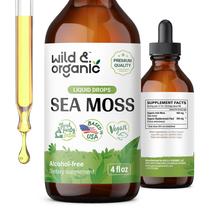 Suplemento Wild & Organic Sea Moss Drops 120 ml com Bladderwrack Suplemento Wild & Organic Sea Moss Drops 120 ml com Bladderwrack