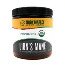 Suplemento ZMA PETS Organic Lions Mane - Cogumelo em Pó