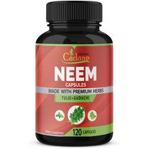 Suplementos orgânicos Cadane Neem Leaf 2250mg com manjericão sagrado 120 cápsulas