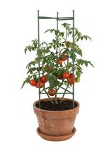 Suporte Armação Plástico para Trepadeiras Horta 120x30cm