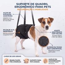 Suporte Auxiliar Quadril Tamanho P Cães Fisioterapia Reabilitação Idoso Paraplegia Suporte Auxiliar Quadril Tamanho P Cães Fisioterapia Reabilitação Idoso Paraplegia