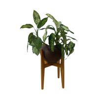 Suporte Cachepot P/ Vasos De Plantas Alto Luxo Pequeno