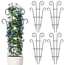 Suporte de escalada de metal Plant Trellis Thealyn, pacote com 4, 81 cm Suporte de escalada de metal Plant Trellis Thealyn, pacote com 4, 81 cm