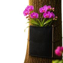 Suporte De Orquidea Fixador Com Proteção Uv Variações de Un Suporte De Orquidea Fixador Com Proteção Uv Variações de Un