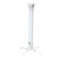 Suporte de Teto para Projetor com Extensor, Suporte Até 13,5kg, Rotação 360, Branco, PRO1100W, ELG