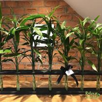 Suporte em Madeira com 21 Hastes de Bambu da Sorte - Decoração Elegante