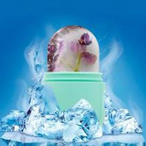 Suporte Esponjinha Facial de Silicone Molde de Gelo para Cuidados com a Pele