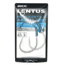 Suporte Hook SF Lentus M Pacote 2Un