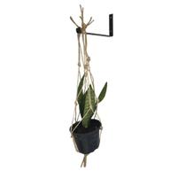 Suporte Mao Francesa 15cm Pendurar Vaso De Planta 7pç