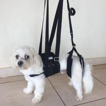 Suporte para cães com deficiência para andar Suporte para cães com deficiência para andar
