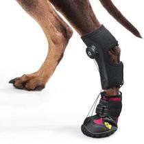 Suporte para Patas de Cães HAGGEMI XL com Calçados Corretivos de Bobina