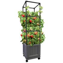 Suporte para plantas de escalada Emsco City Picker Trellis Tower