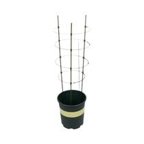 Suporte Para Plantas Em Aço Revestido De Plástico De 45cm, Estrutura Decorativa Para Trepadeiras
