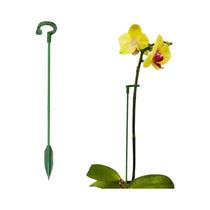 Suporte Para Plantas Em Forma De Flor, Estrutura De Apoio Anti-Enrolamento, Proteção De Folhas Para