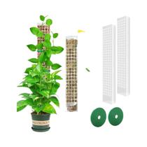 Suporte Para Plantas Trepadeiras De Jardim, Acessórios Para Bonsai, Suporte De Crescimento Para Suporte Para Plantas Trepadeiras De Jardim, Acessórios Para Bonsai, Suporte De Crescimento Para
