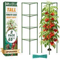 Suporte para Plantas Trepadeiras ZeeDix 165 cm Resistente 2 Unidades Suporte para Plantas Trepadeiras ZeeDix 165 cm Resistente 2 Unidades