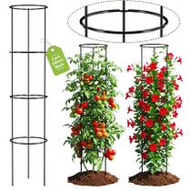 Suporte para Tomate ArdeFentium 152 cm Resistente 2 Unidades Suporte para Tomate ArdeFentium 152 cm Resistente 2 Unidades