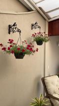 Suporte Parede Para Pendurar Plantas E Vasos