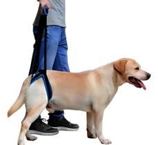 Suporte traseiro respirável para cães idosos com conforto e ajuste seguro