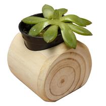 Suporte Vaso Para Suculentas Cactos Em Madeira Natural