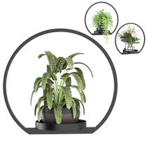 Suportes de parede para plantas DEMEGA para plantas de interior com moldura