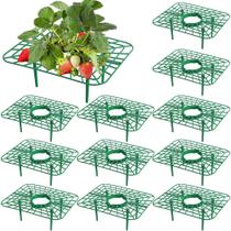 Suportes para Morango Iceyyyy, kit com 12 suportes plásticos para plantas Suportes para Morango Iceyyyy, kit com 12 suportes plásticos para plantas