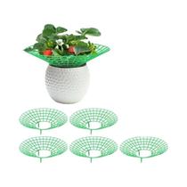Suportes Para Plantas De Morango, 510 Peças, Gaiolas De Três Pernas Para Proteção Contra Mofo,