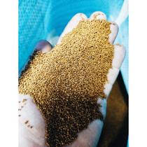 Supra peixe 48% com 1mm - pre juvenil supra peixe - tartaruga filhote turtle - beta - peixe minuscul