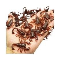 Suprimentos Para Festa De Halloween Infantil, Acessórios De Baratas Falsas, Centopeias E Escorpiões, Suprimentos Para Festa De Halloween Infantil, Acessórios De Baratas Falsas, Centopeias E Escorpiões,