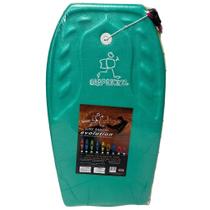 Surf radical prancha body board mirim 059 x 0,37 cm bb01 Surf radical prancha body board mirim 059 x 0,37 cm bb01