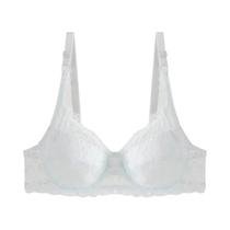 Sutiã de Renda com Aro de Aço para Mulheres Plus Size 36-42 B/C, Push Up Fino, Lingerie Sexy